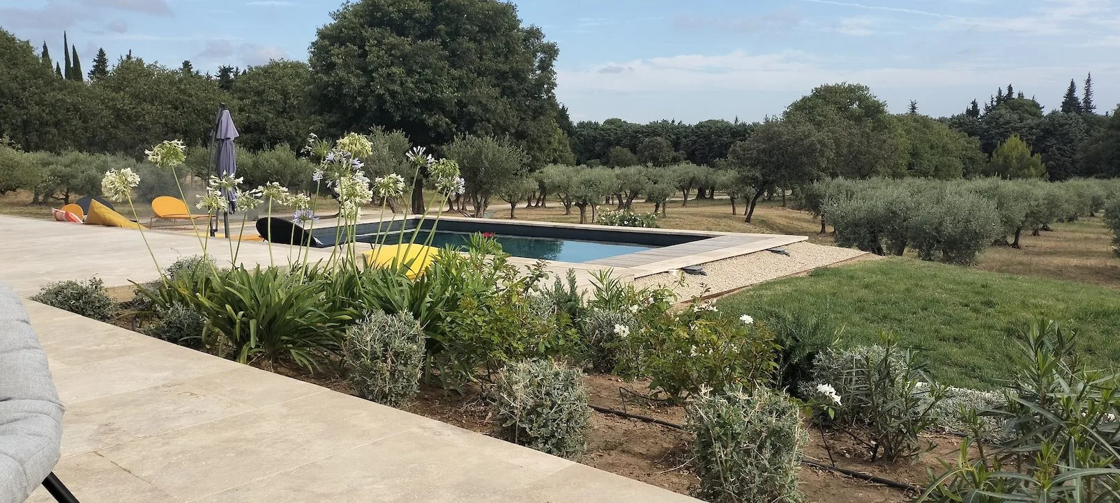 Pool and garden in summer